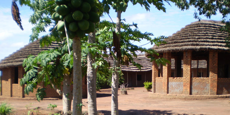 Dessay bach rapidshare 03 image